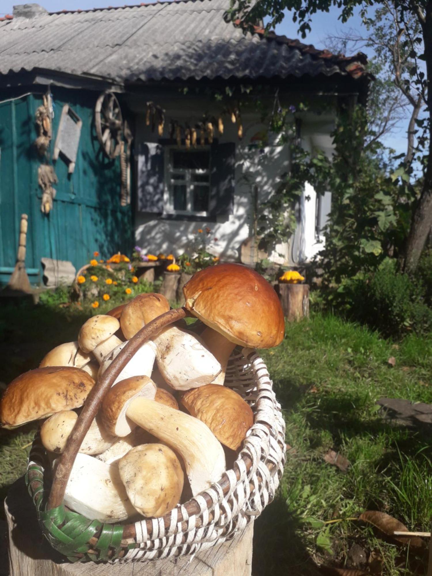 Медова Садиба Subbotiv ห้อง รูปภาพ